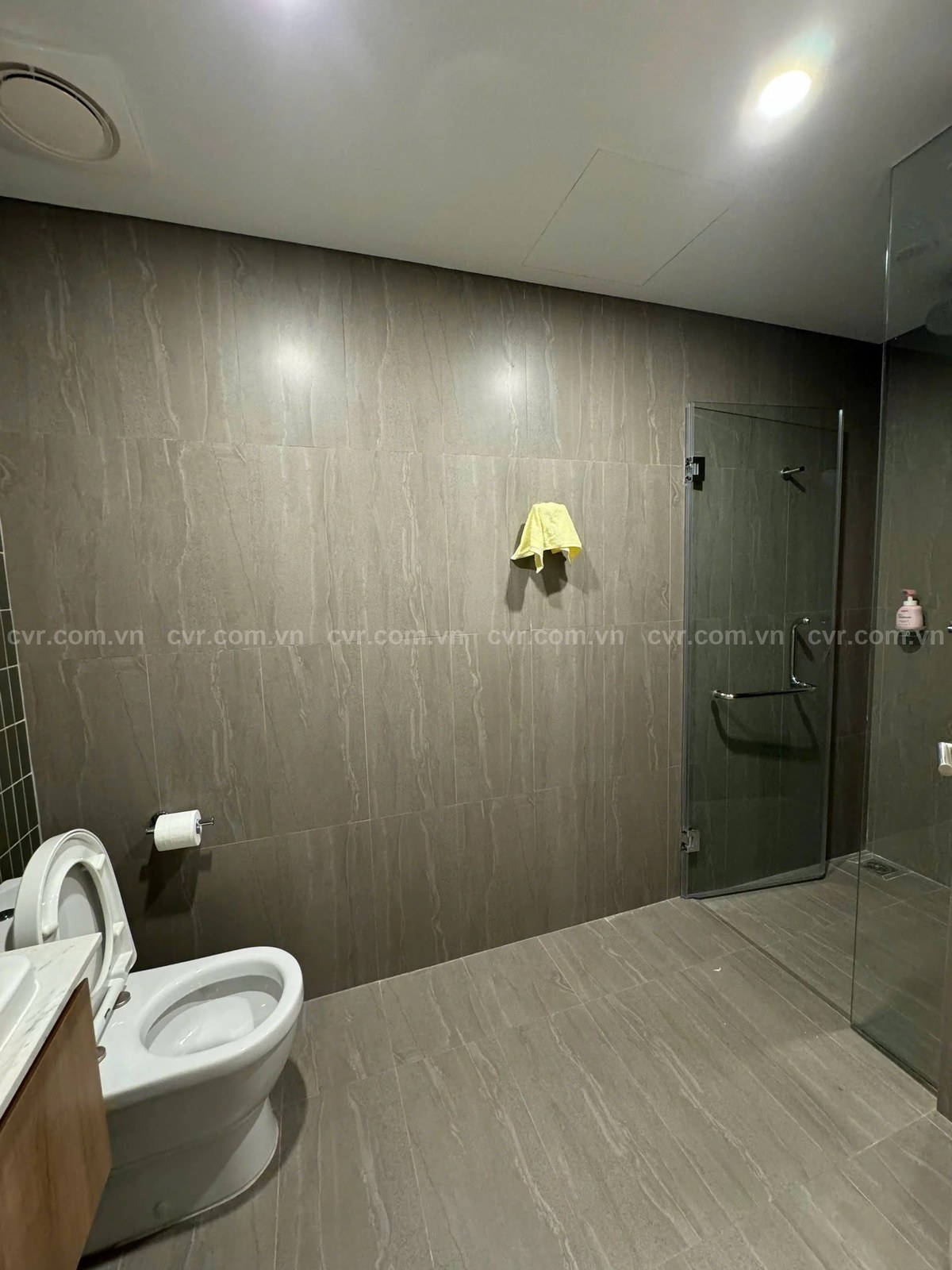 2 Bedroom Apartment for Rent in Hai Chau, Da Nang