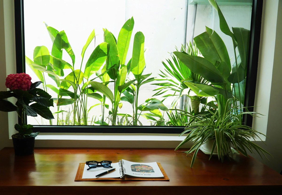 2 Bedroom Villa for Rent in Son Tra, Da Nang