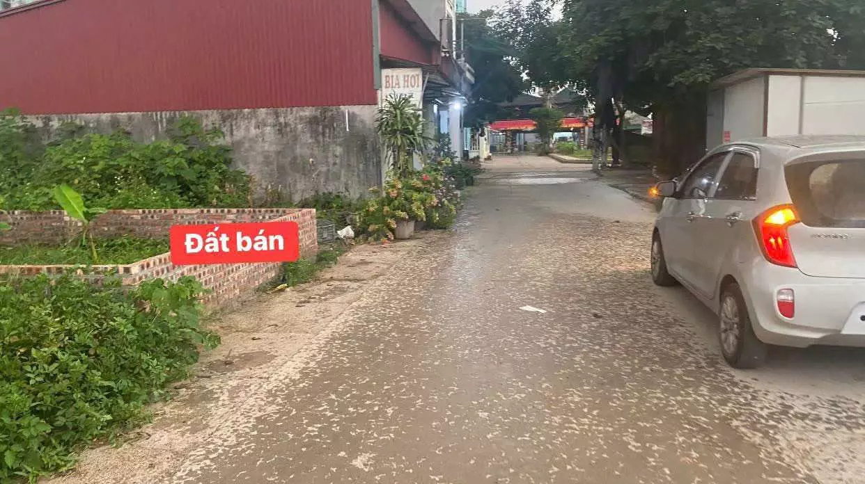 Me Linh