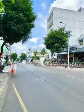 Tan Phu