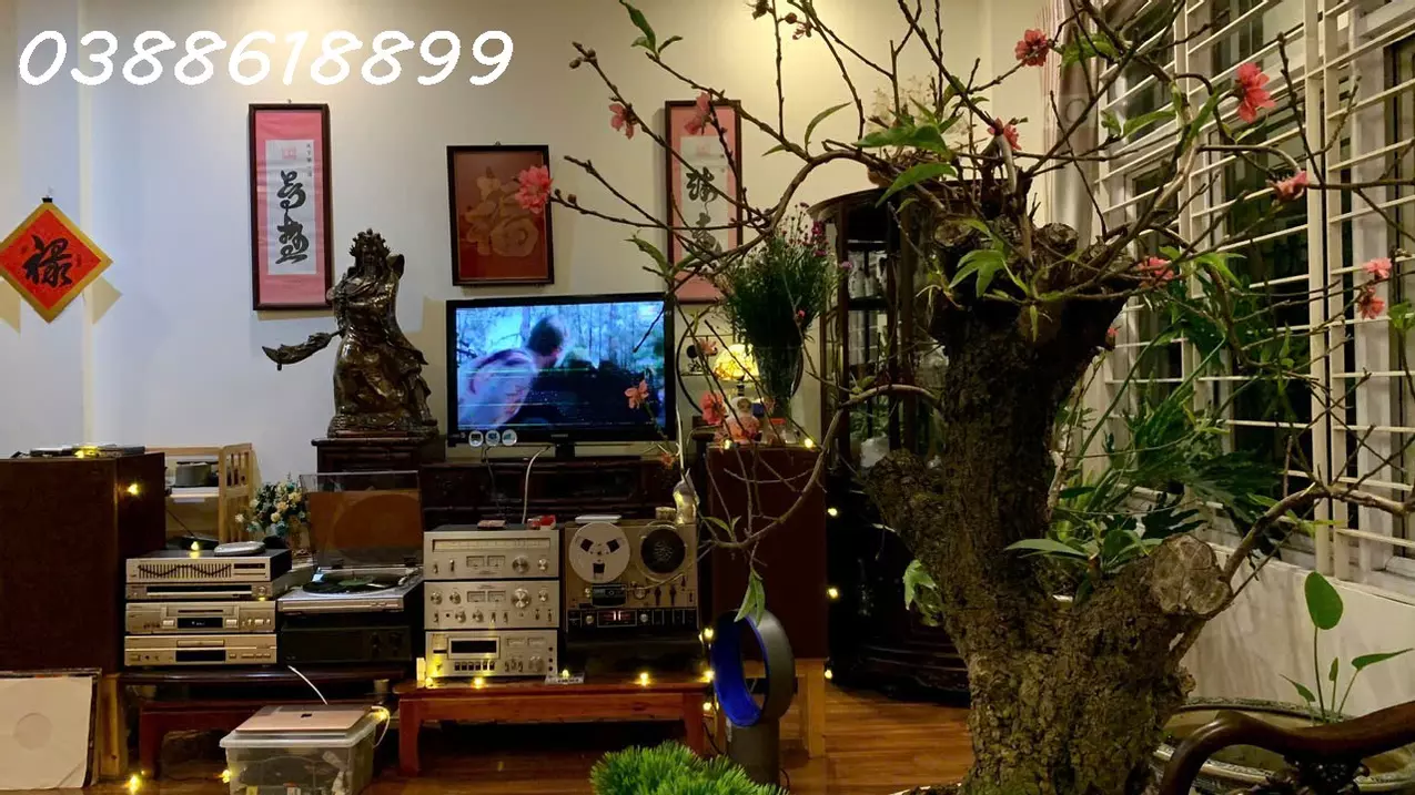 Youth
