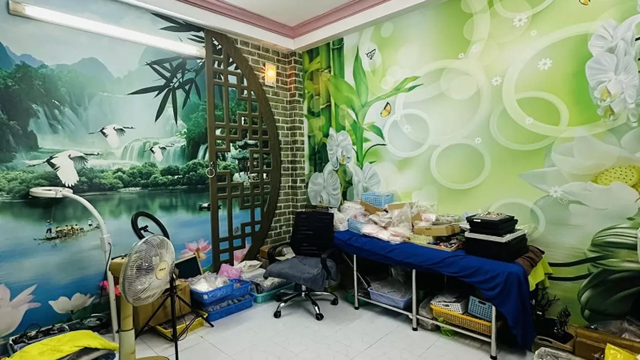 Tan Binh
