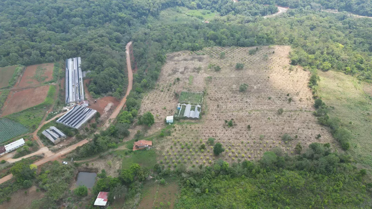 how much will you pay to get this 5 hectares of golden land?