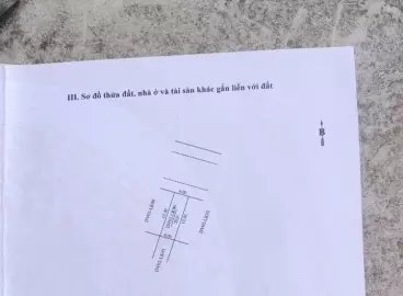 Ha Dong