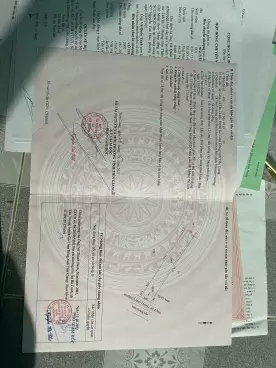 Go Cong Dong
