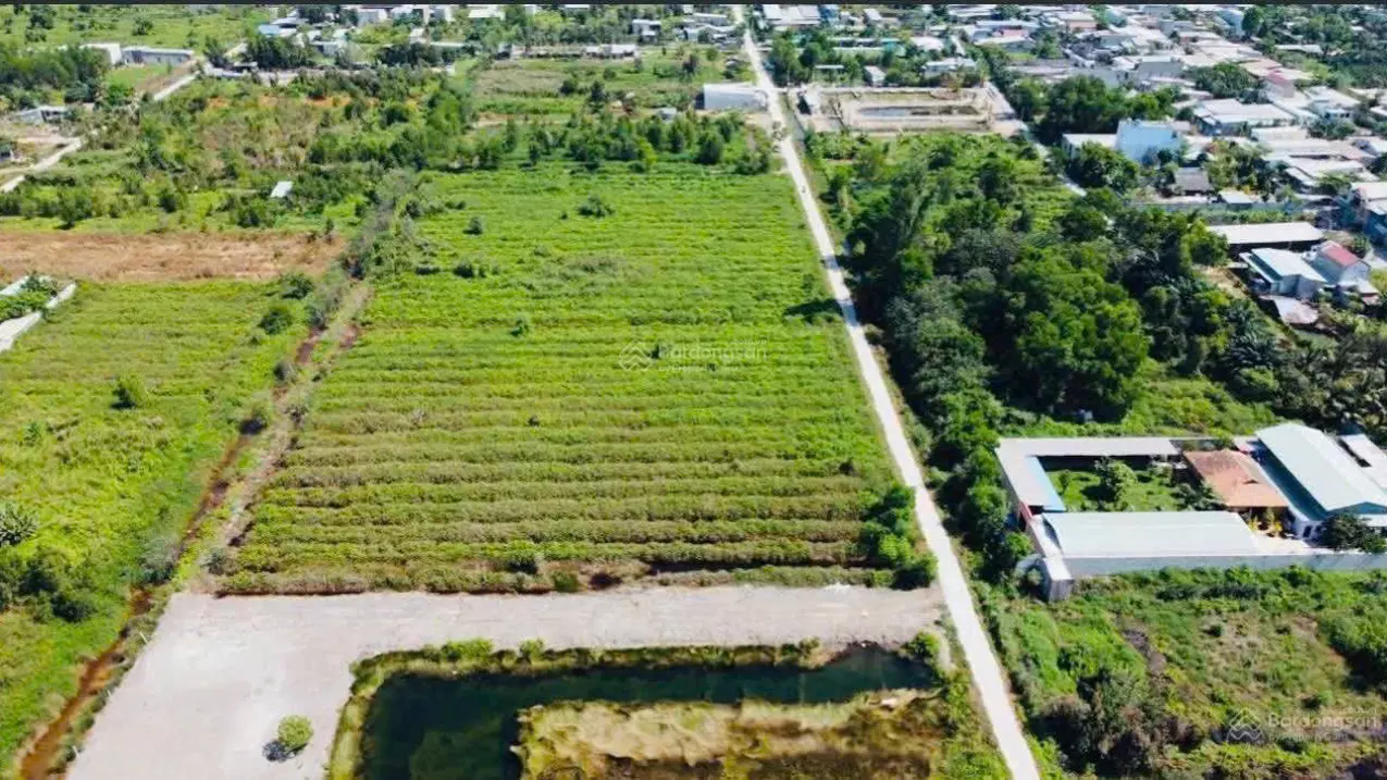sale 16,500m2 tran van giau binh chanh social house 175m x 95m only 59 billion