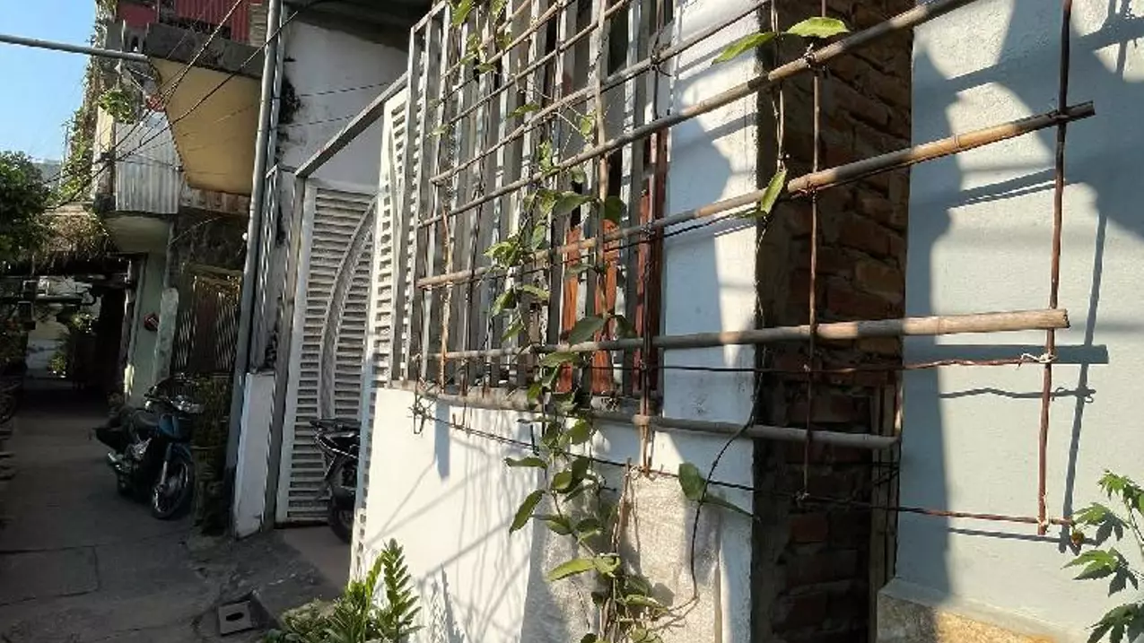Hoang Mai