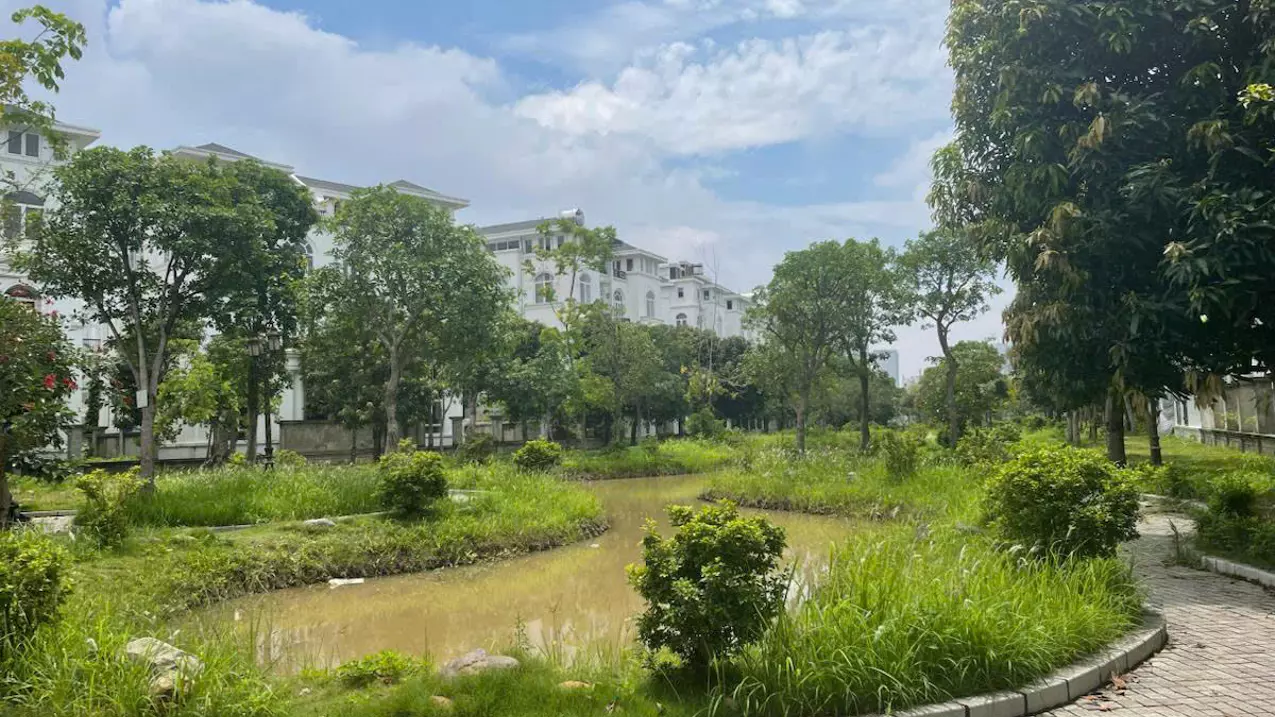Nam Tu Liem