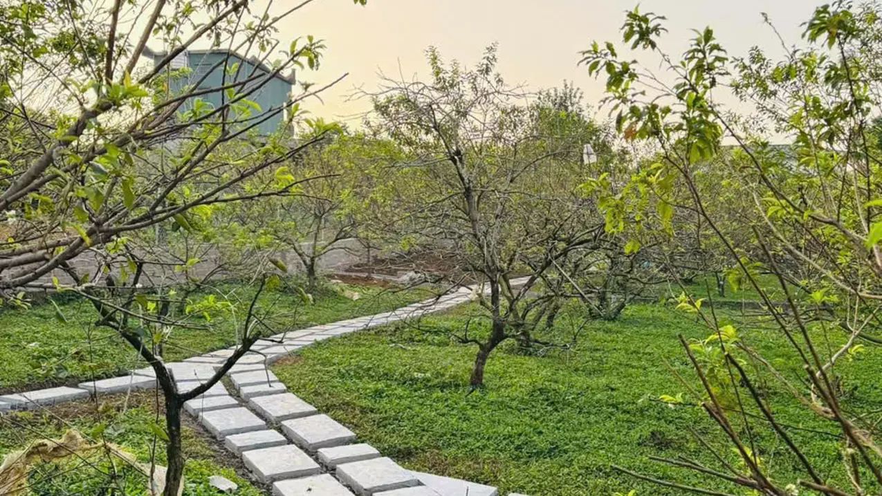 Moc Chau