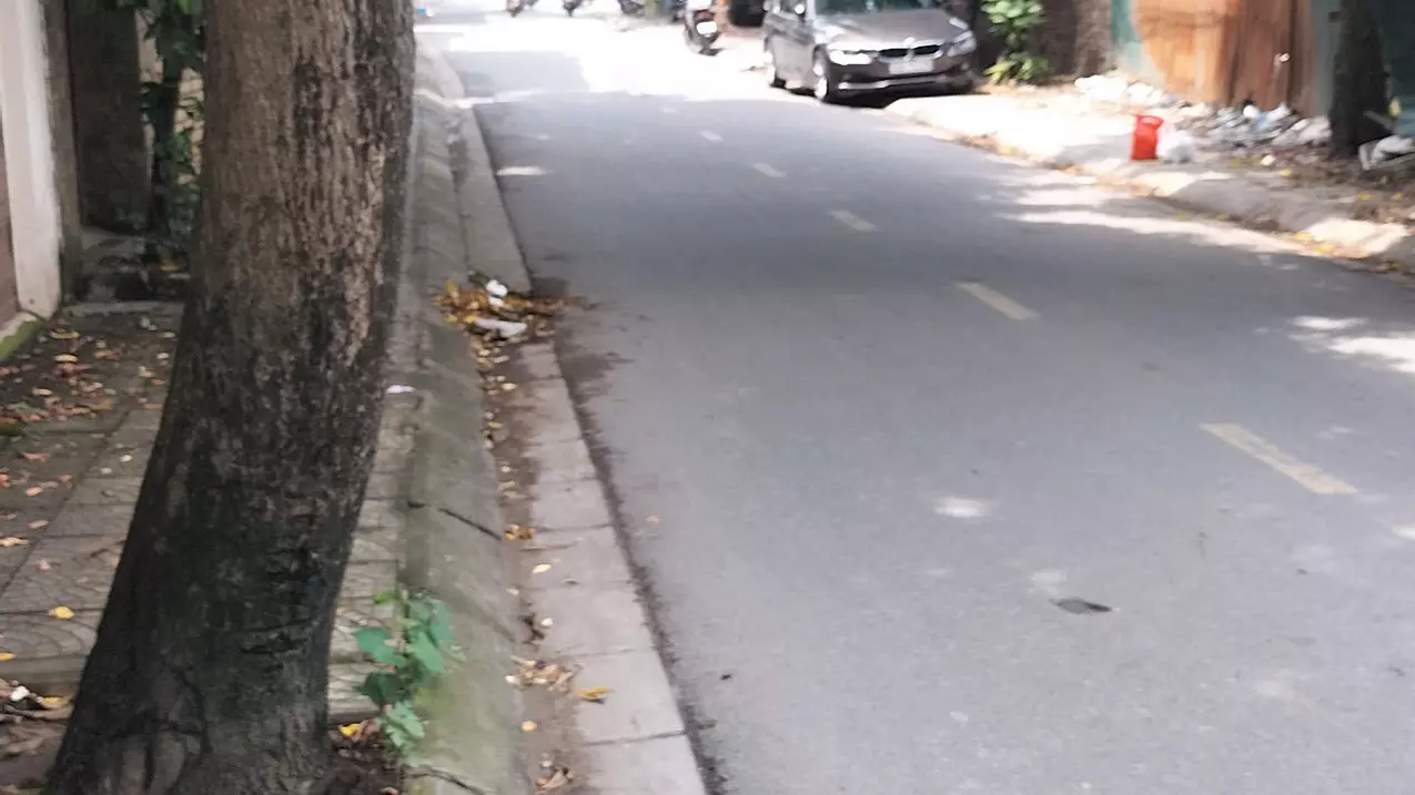 Hoang Mai