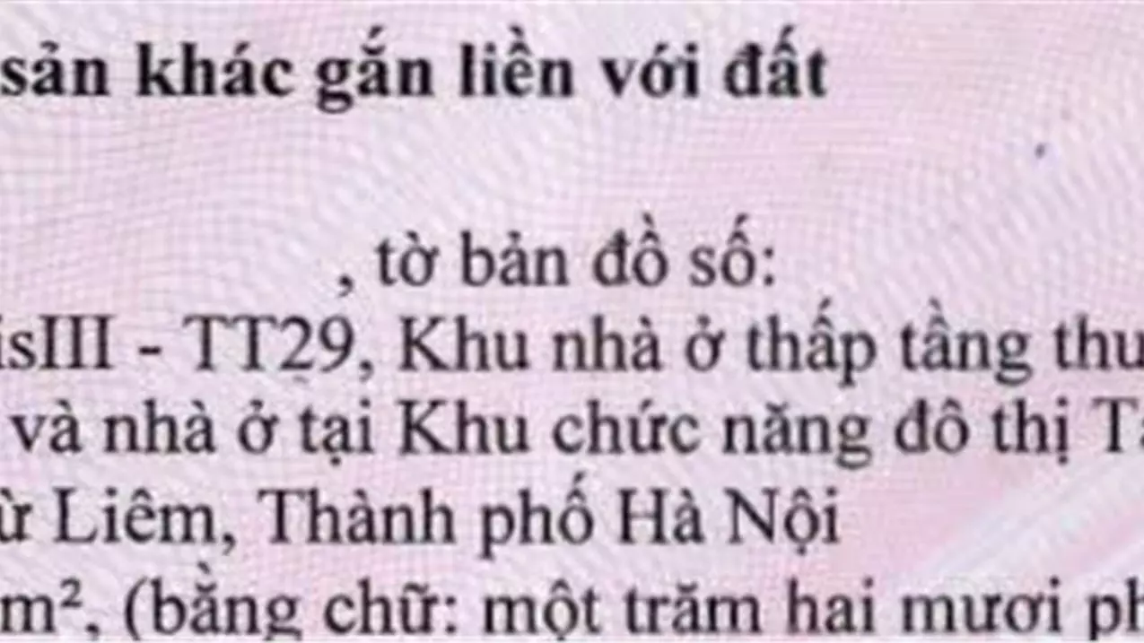 Nam Tu Liem