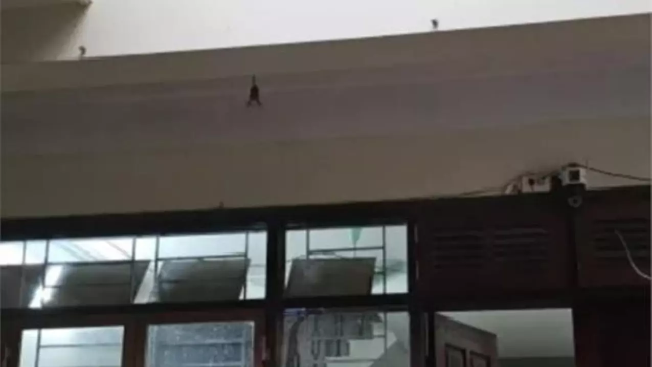 Nam Tu Liem