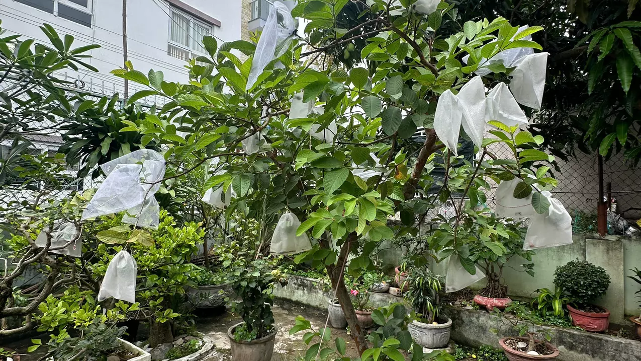 Nha Trang