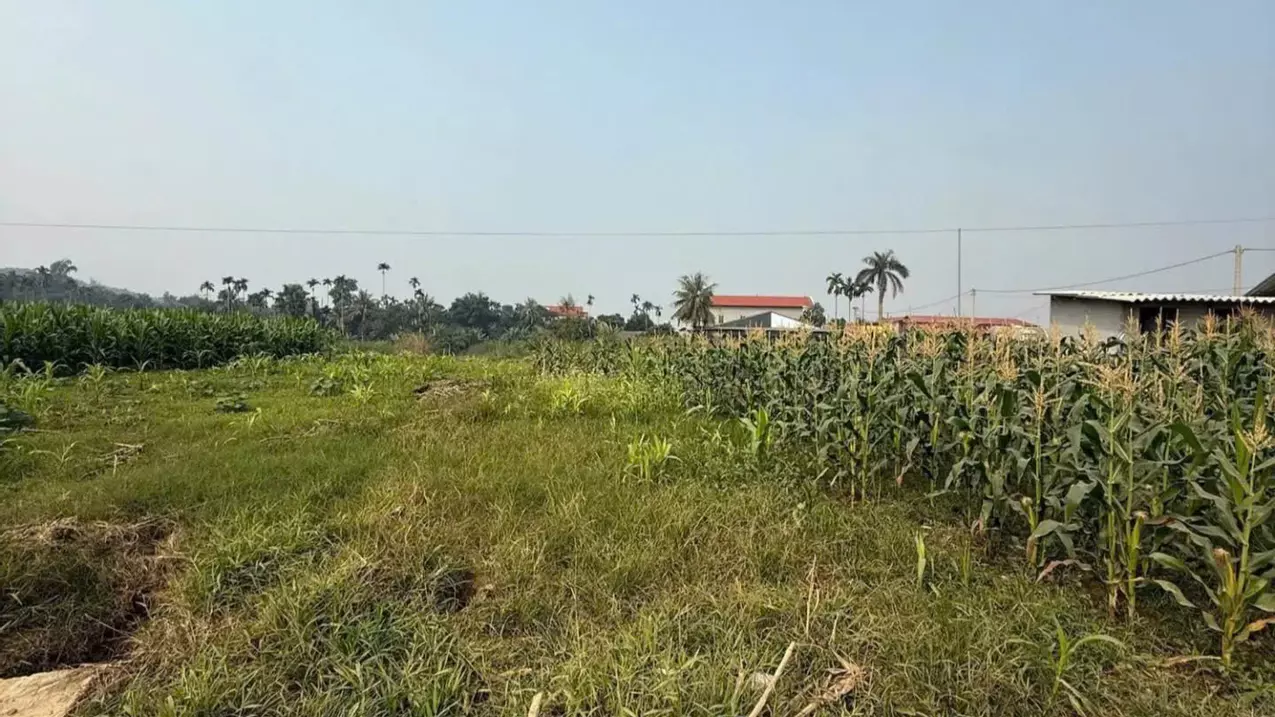 Nghia Lo