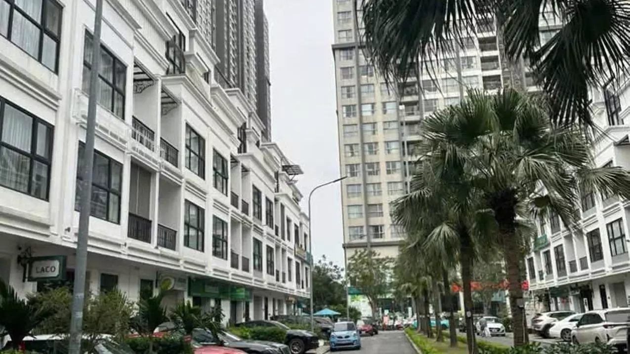 Nam Tu Liem