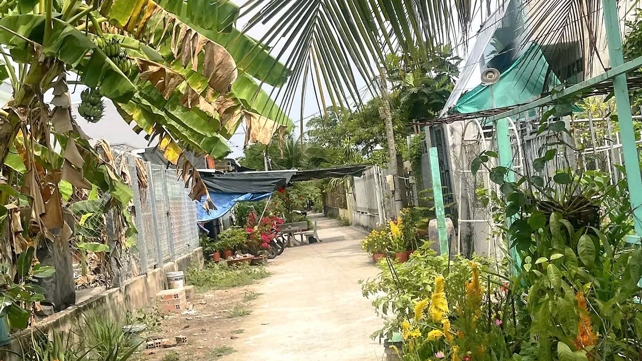 for sale 250m2 residential land in ba gac alley near nh1a