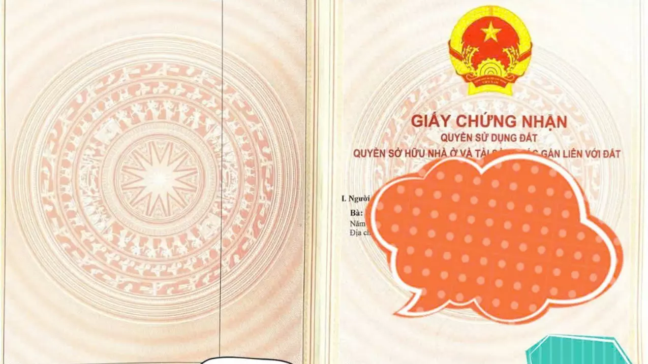 Nam Tu Liem
