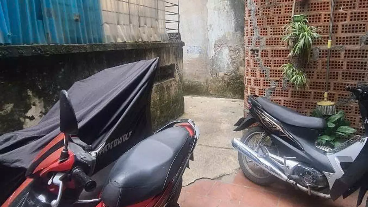 Hoang Mai