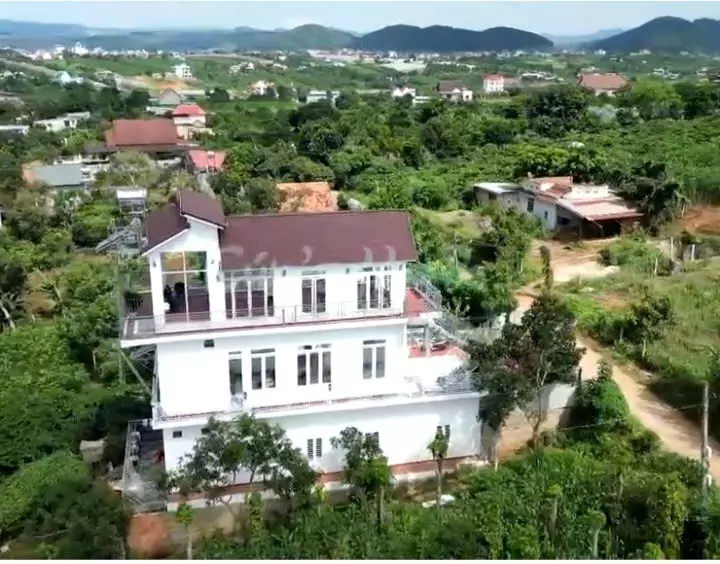 Lam Ha