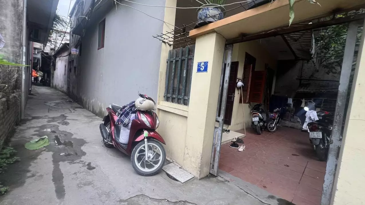 Hoang Mai