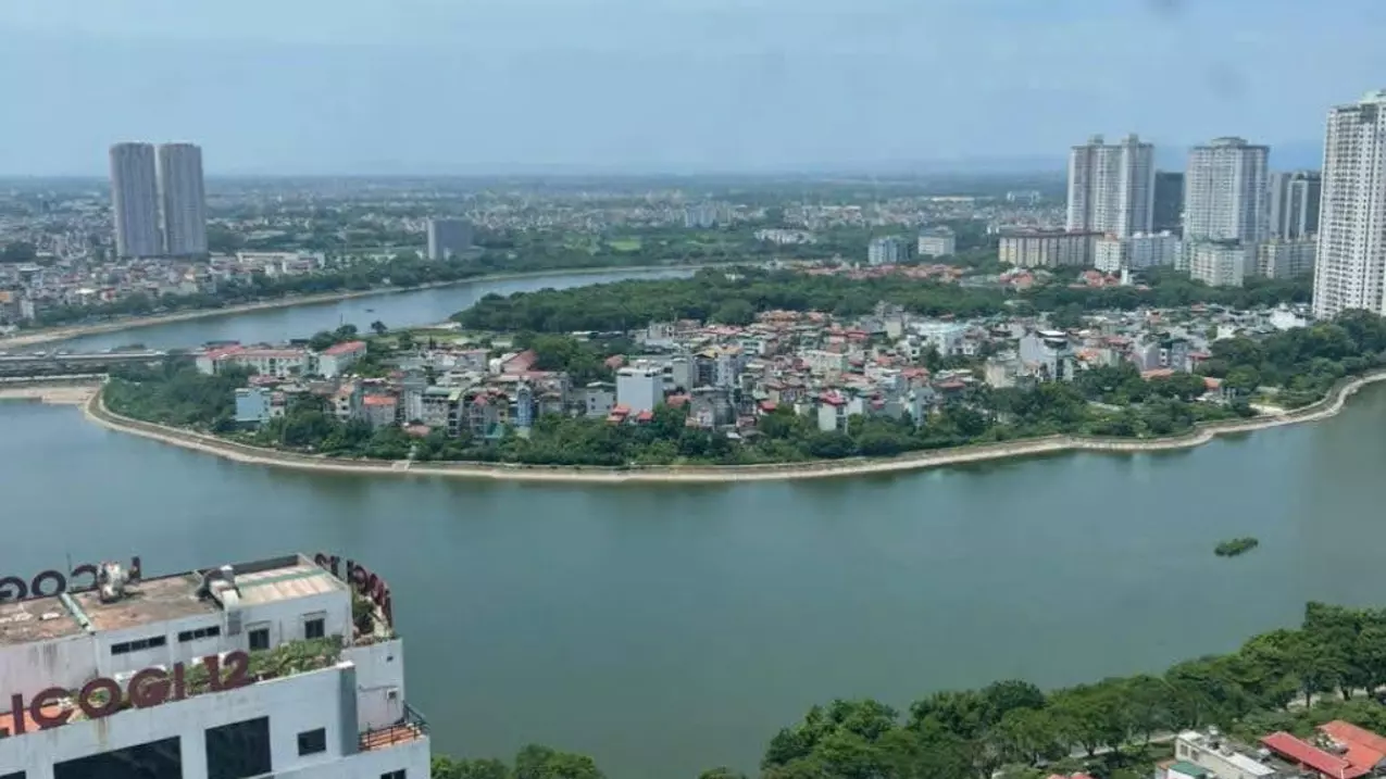 Hoang Mai