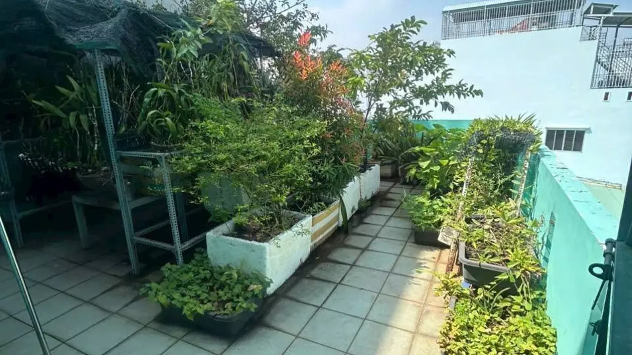 Tan Phu