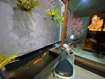 Dong Da