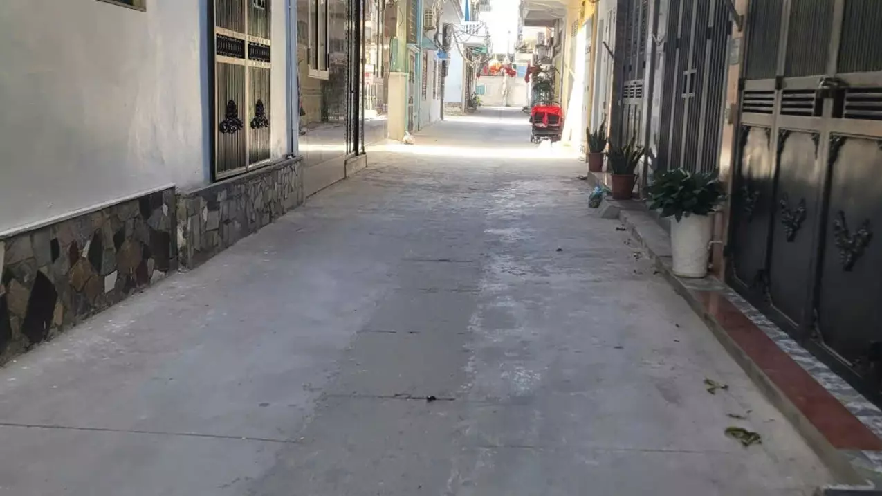 Thanh Tri