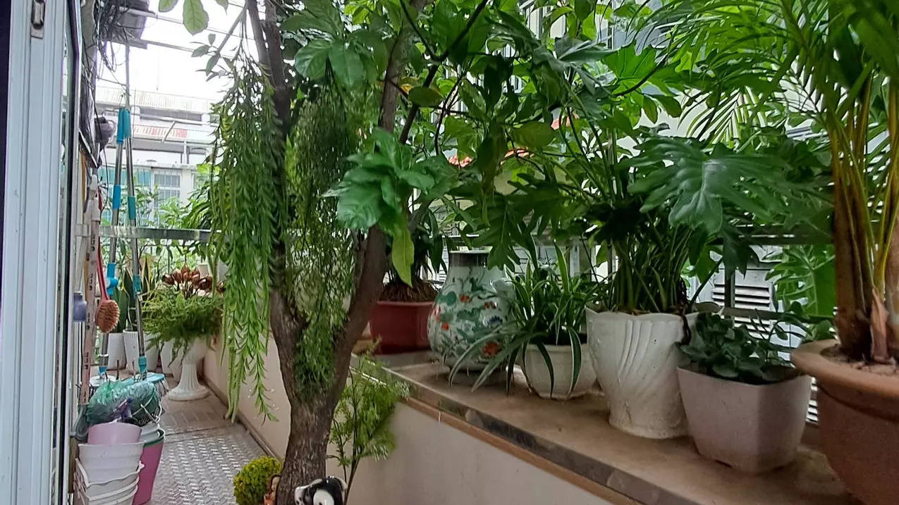 Ba Dinh