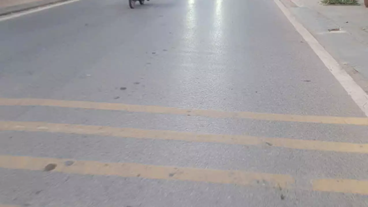 Hoang Mai