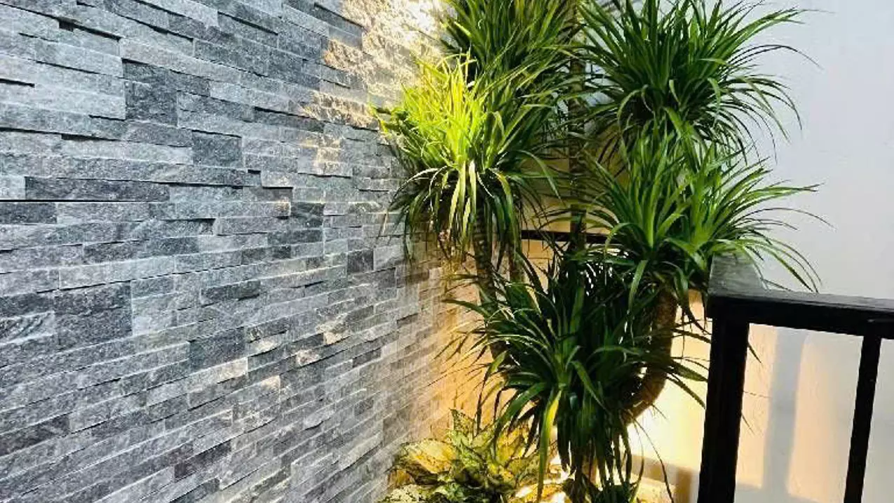 Nam Tu Liem