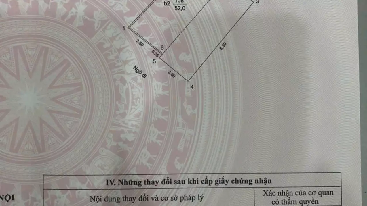 Dong Da