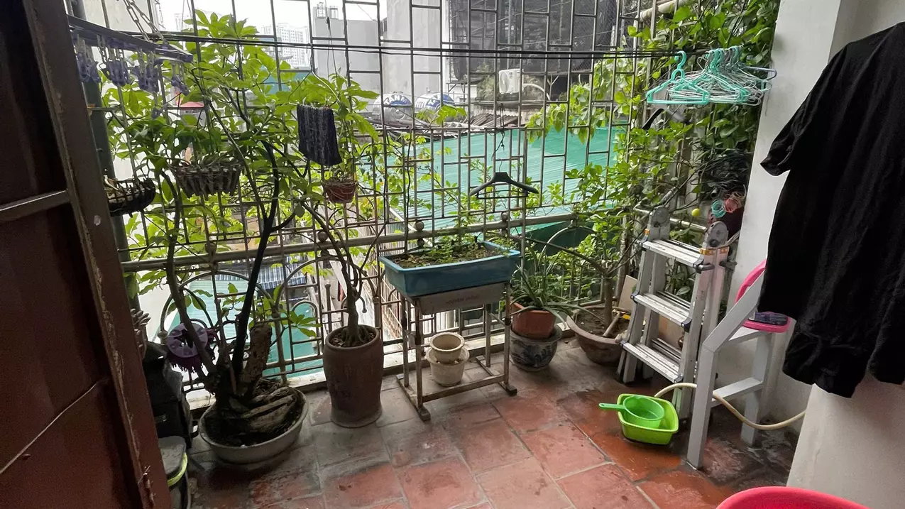 Hoang Mai