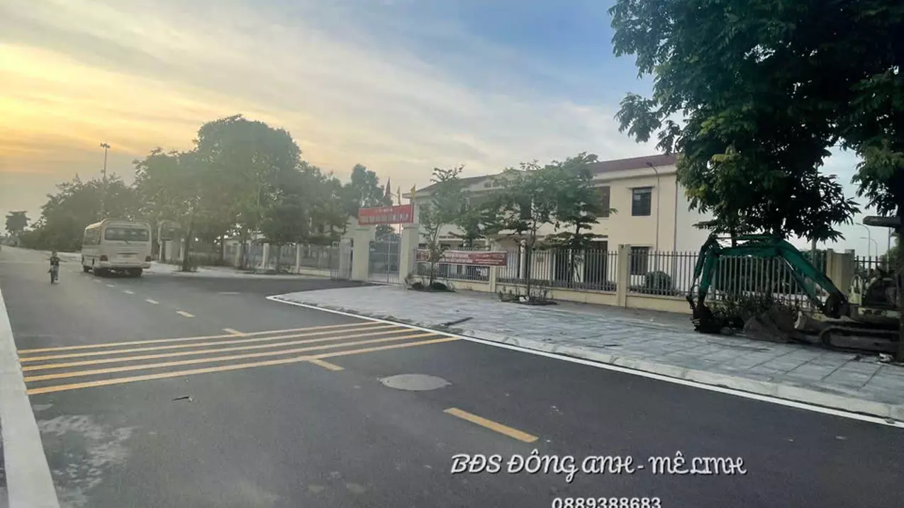 Dong Anh
