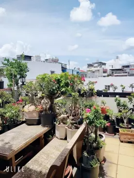 Tan Binh