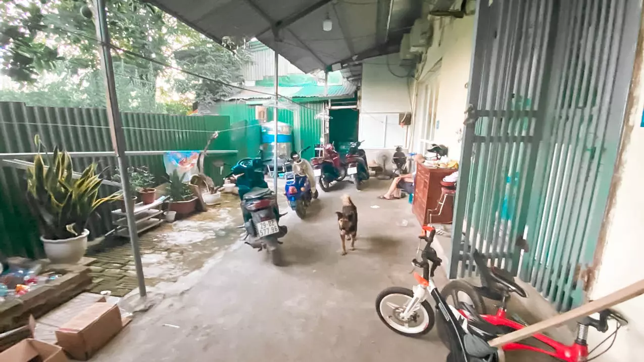 Hoang Mai