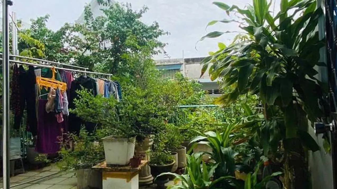 Tan Binh