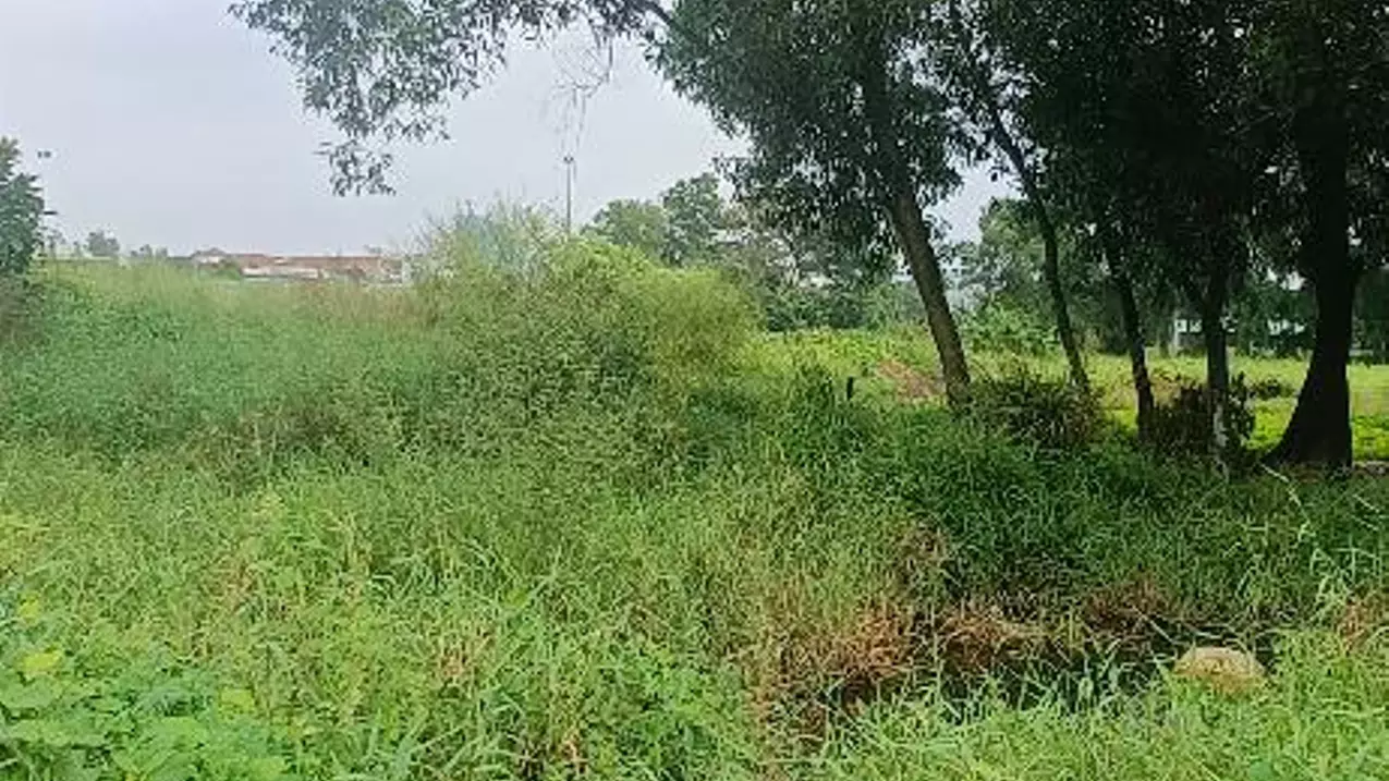 Di An