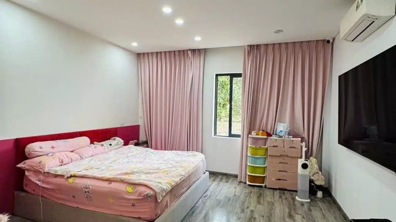 Dong Anh