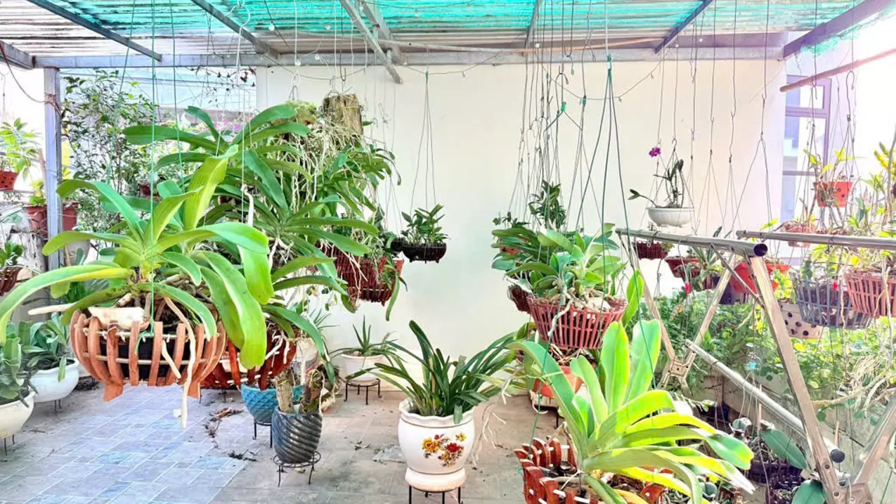 Youth