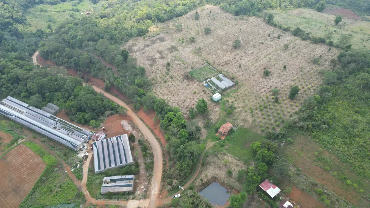 how much will you pay to get this 5 hectares of golden land?