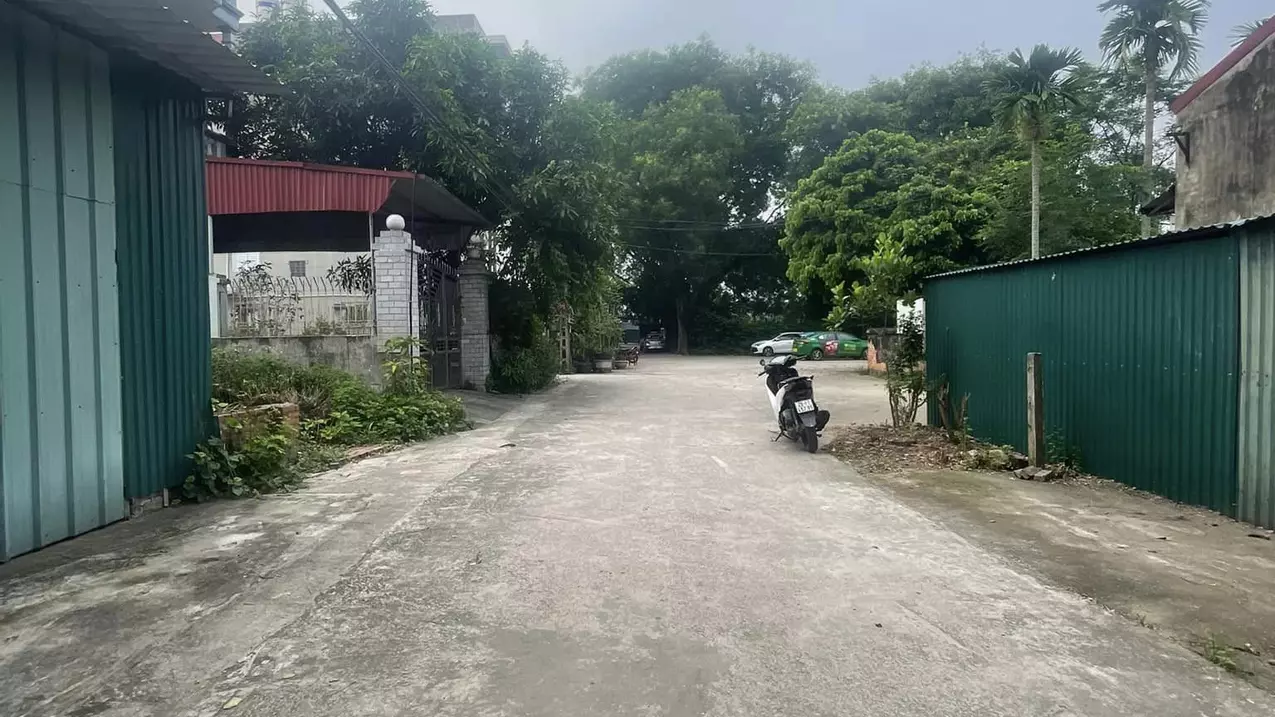Dong Anh