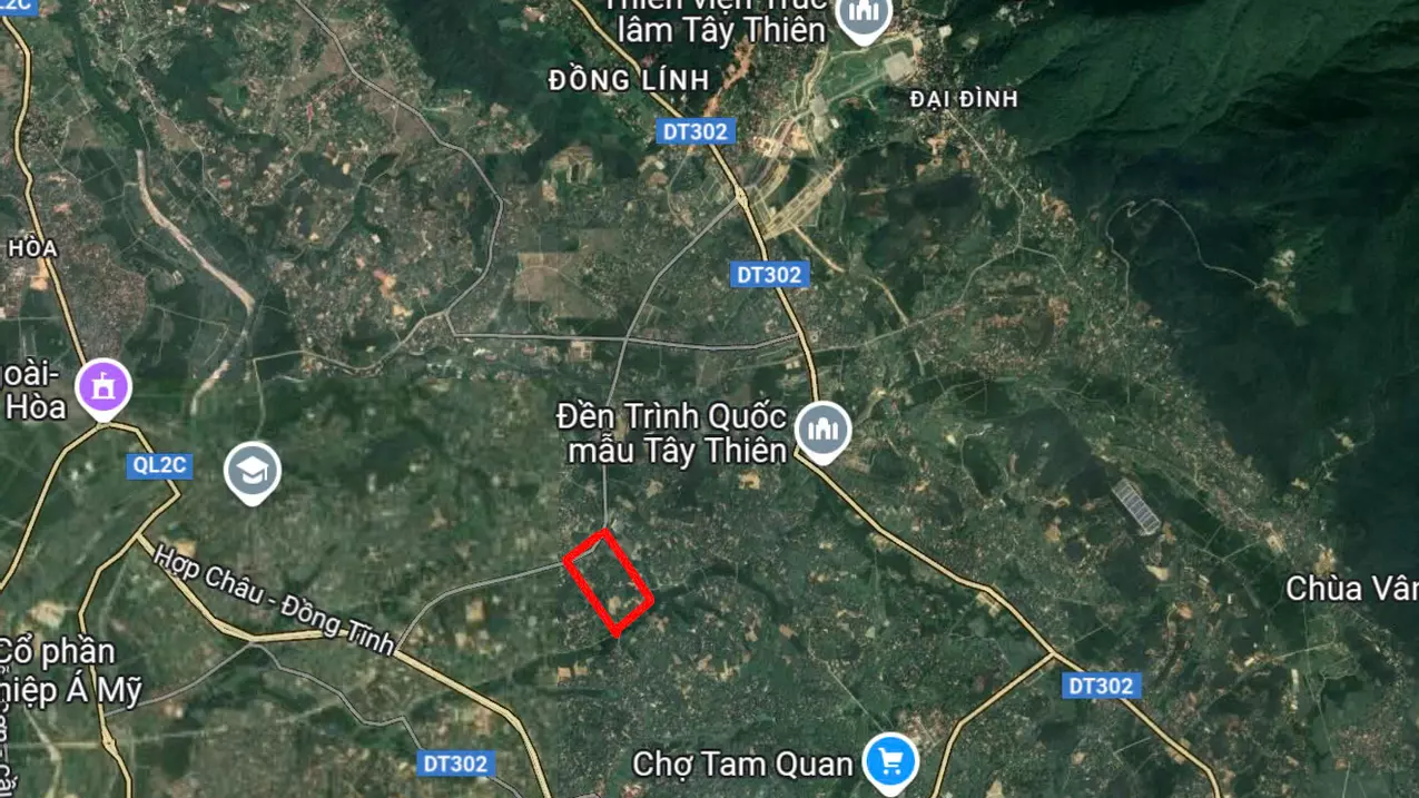 Tam Dao