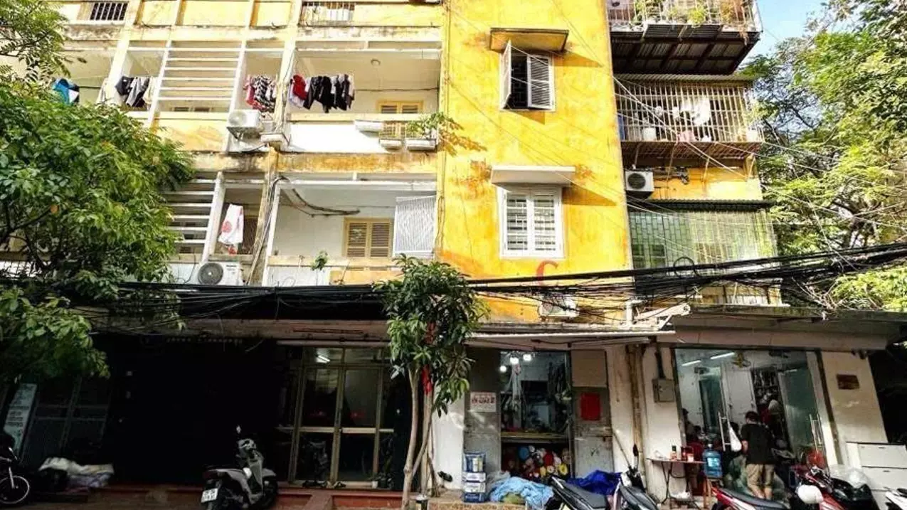 Hoang Mai