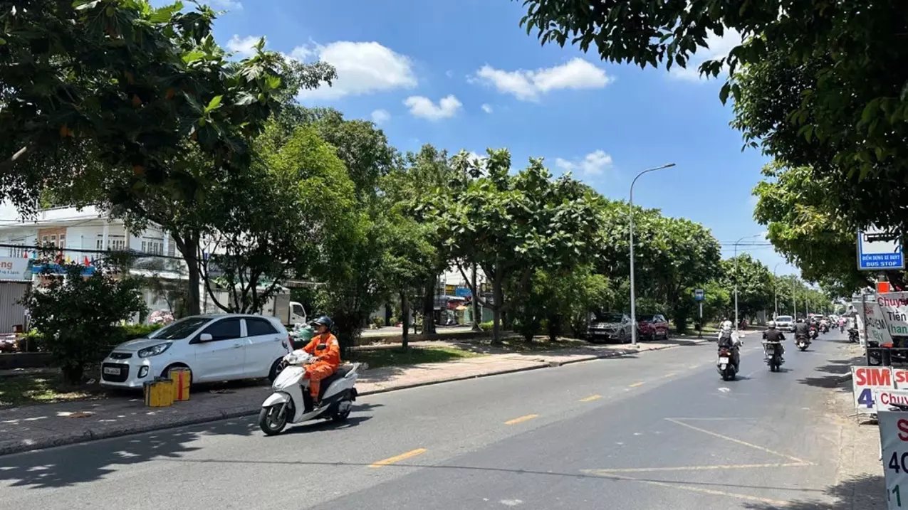 Tan Phu