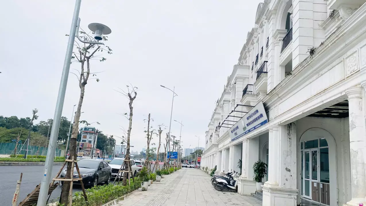 Nam Tu Liem