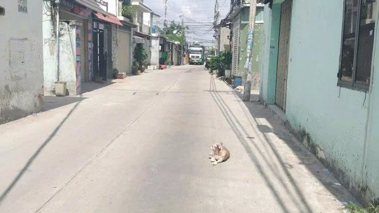 owners for selling house frontage 8m street, 2 trucks avoid, clear national highway 1a + ma lo, near tan ky toll station