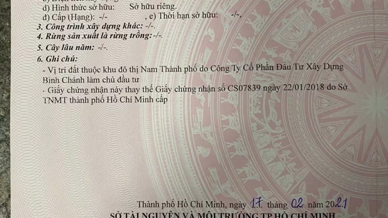 Binh Chanh