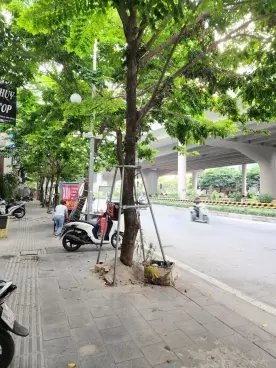 Bac Tu Liem