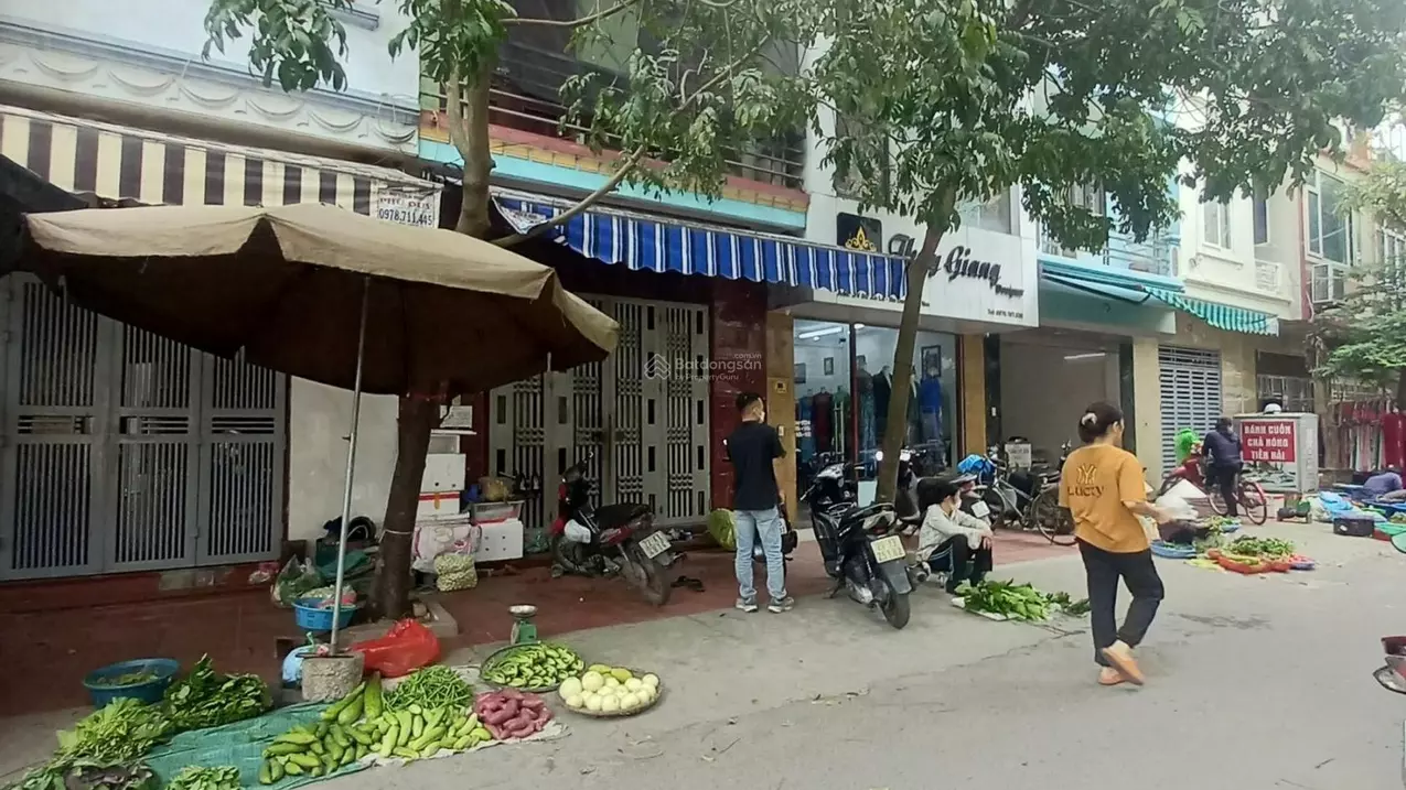 Thanh Tri